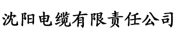 小黄片安装地址电缆厂logo